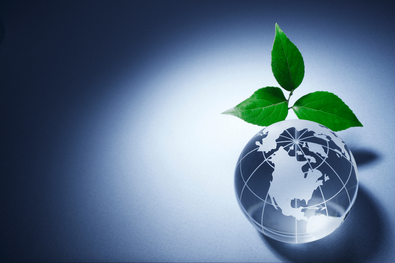 Al momento stai visualizzando Consulenza Ambientale per rifiuti