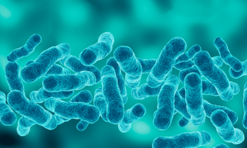 Analisi Legionella