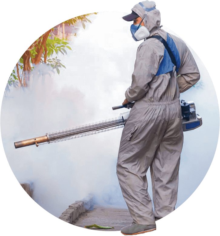 disinfestazione zanzare professionale