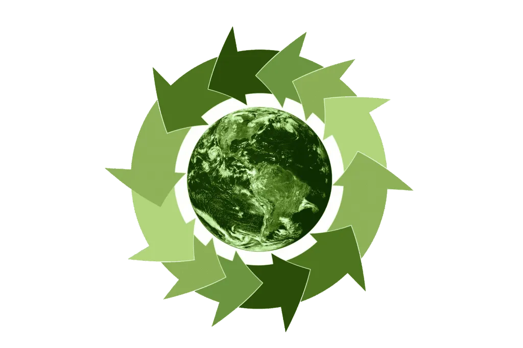ecologia