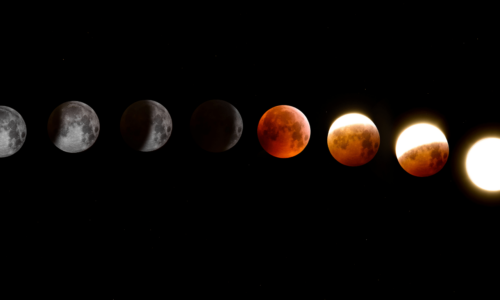 Potatura e Fasi Lunari