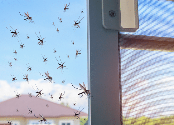 impianto antizanzare