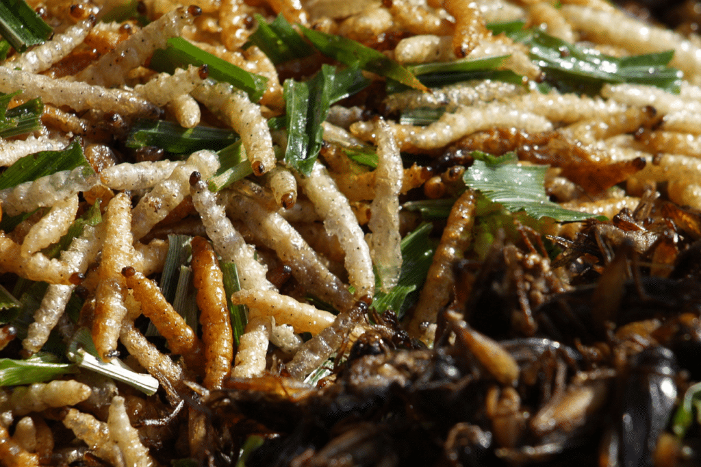 insetti derrate alimentari