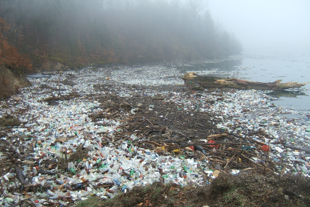 plastica rifiuti