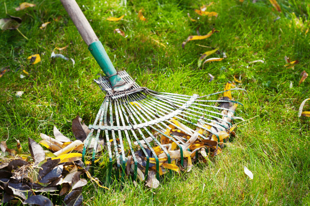 rastrellamento prato