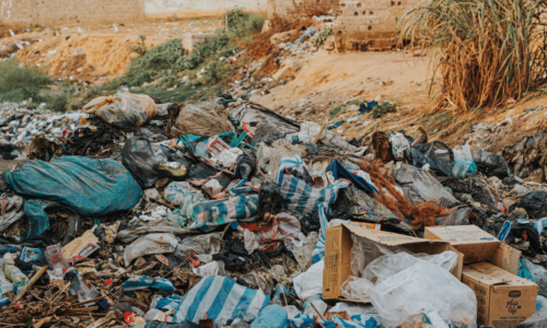 Consigli e pratiche su come ridurre i rifiuti