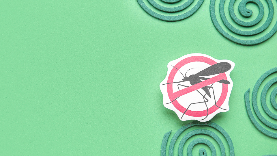 sistemi antizanzara nebulizzati